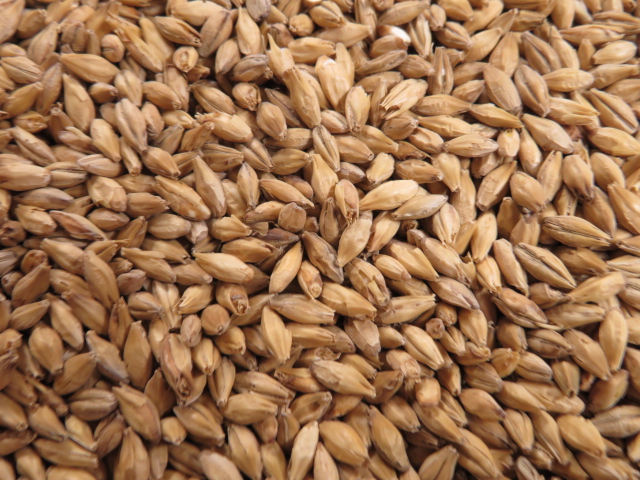Bohemian Pilsner Malz (3-5 EBC) - ungeschrotet (Weyermann®)