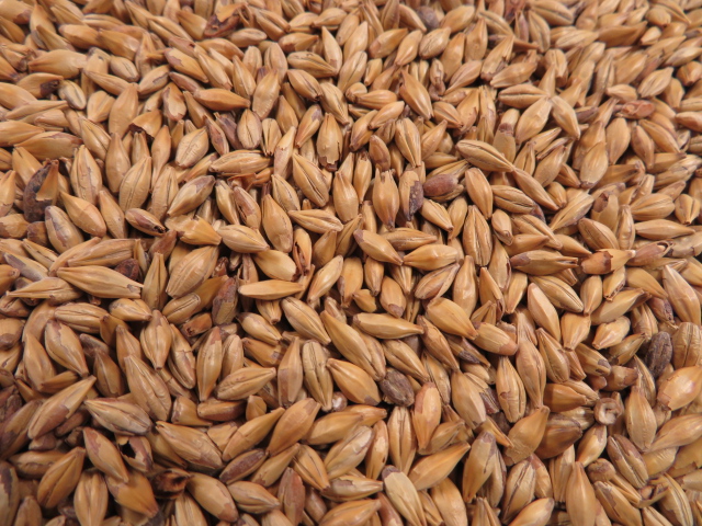 CaraRed® ungeschrotet (Weyermann®)