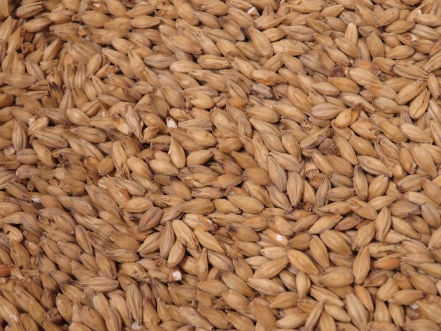 Pale Ale Malz (ungeschrotet) (Weyermann®)