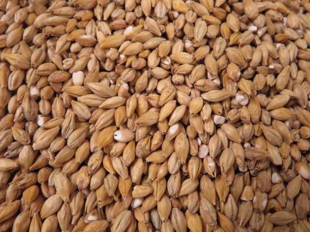 Sauermalz (ungeschrotet), 1kg (Weyermann®)