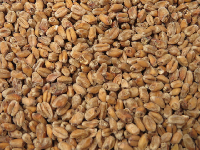 Weizenmalz, dunkel (ungeschrotet) (Weyermann®)