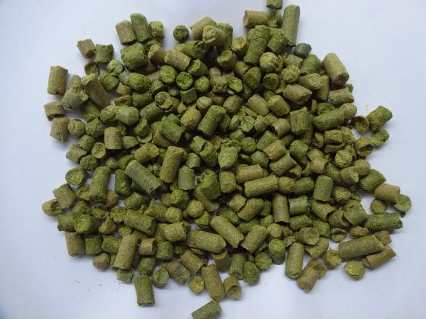 Tango (DE, Hallertau), 5-6 %