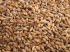 Bohemian Pilsner Malz (3-5 EBC) - ungeschrotet (Weyermann®)