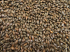 CARAFA® I (Typ 1) - (MM)