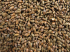 CARAFA® Spezial I (Typ 1) - (MM)