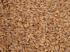 Pale Ale Malz (ungeschrotet) (Weyermann®)